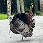@Tatermana profile picture